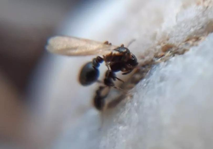 一分钟介绍使用“圣游大厅怎么买房卡”详细房卡怎么购买教程 一分钟介绍使用“圣游大厅怎么买房卡”详细房卡怎么购买教程