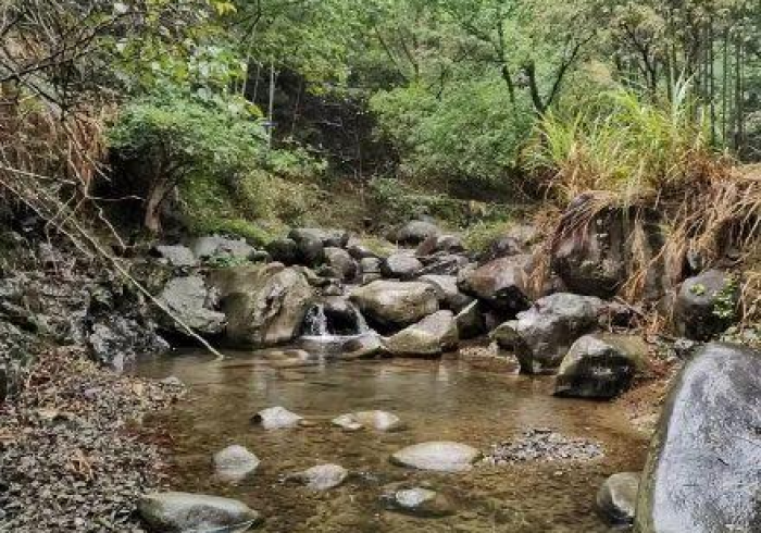 【 盘 点 十 款 】 “ 闲 游 龙 岩 麻 将 调 胜 率 ” 揭 秘 透 视 辅 助 万 能 挂