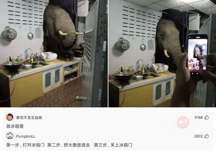 给大家讲解“青龙大厅在哪里买房卡”轻松获取房卡全渠道