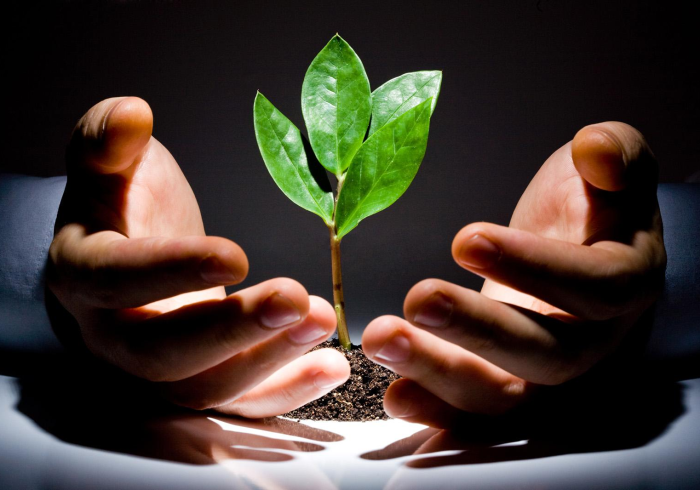 五分钟了解＂琼州雀友哪里有挂买”-必赢神器安装