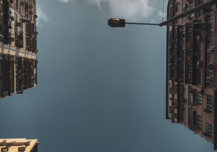 我来教教大家最山海有挂吗有的”(透视曝光猫腻) 我来教教大家最山海有挂吗有的”(透视曝光猫腻)