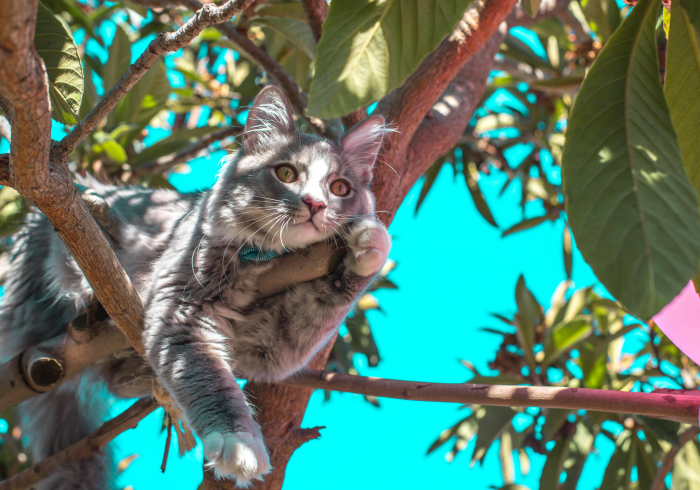 开 挂 辅 助 工 具 “ 熊 猫 新 版 有 可 以 控 制 的 吗 ” 辅 助 挂 下 载 开 挂 辅 助 工 具 “ 熊 猫 新 版 有 可 以 控 制 的 吗 ” 辅 助 挂 下 载