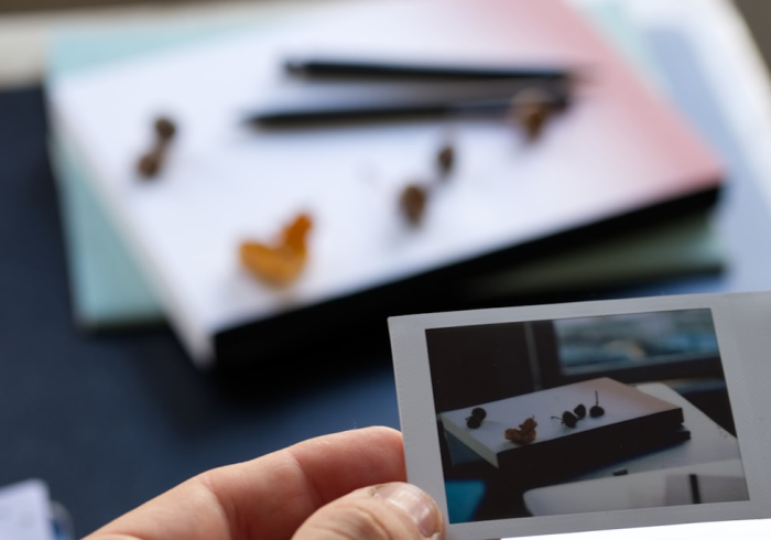 全攻略普及“新道游平台房卡”详细房卡使用教程